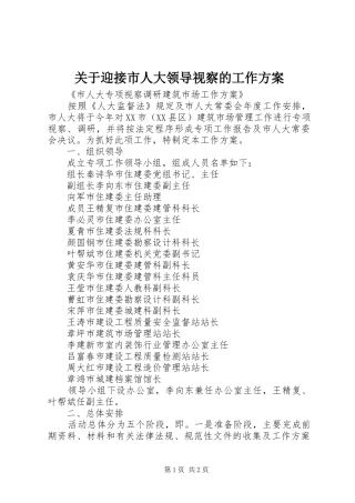 关于迎接市人大领导视察的工作实施方案 