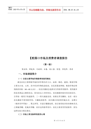 舵落口市场及消费者调查报告