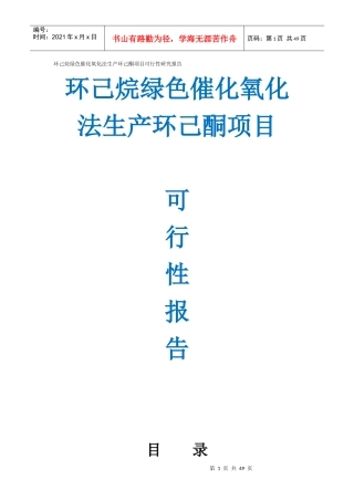 绿色催化氧化法生产环己酮项目可行性研究报告