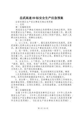 岳武高速09标安全生产应急处置预案 