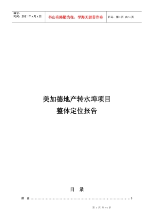 美加德整体发展战略定位报告