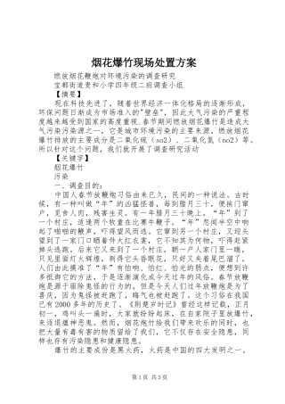 烟花爆竹现场处置实施方案 