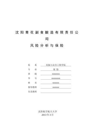 航空航天大学-沈阳青花副食酿造有限责任公司风险分析与