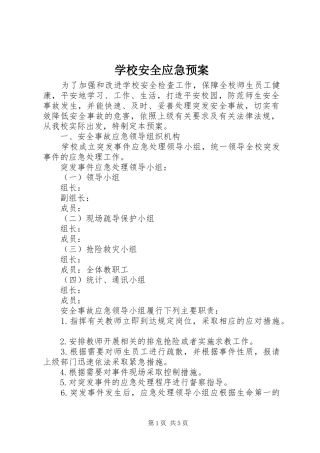 学校安全应急处置预案 (44)