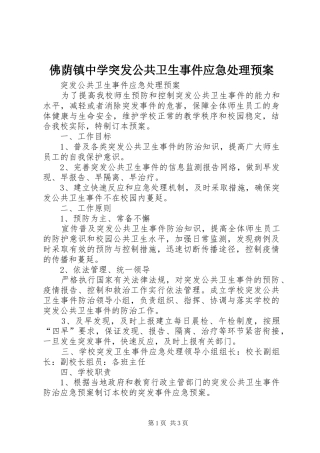 佛荫镇中学突发公共卫生事件应急预案 