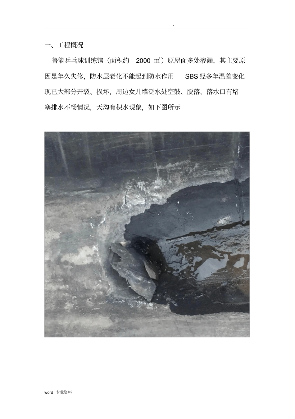 屋面防水维修施工方案_第2页