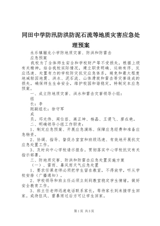 同田中学防汛防洪防泥石流等地质灾害应急预案 
