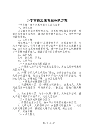 小学雷锋志愿者服务队实施方案 