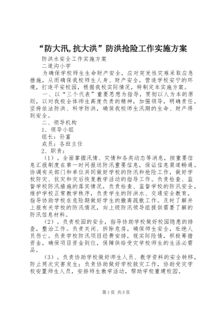 “防大汛,抗大洪”防洪抢险工作方案 