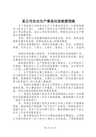 某公司安全生产事故应急救援预案 