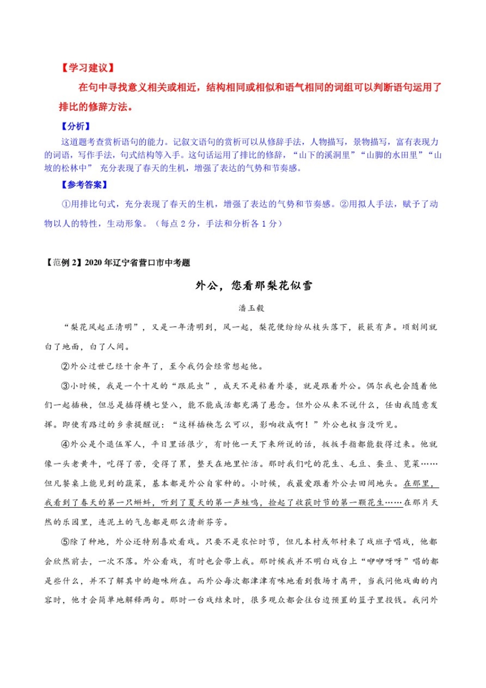 专题04排比修辞(解析版)中考语文现代文阅读考点+答题技巧模板之记叙文_第3页