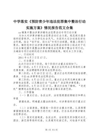 中学落实《预防青少年违法犯罪集中整治行动方案》情况报告范文合集 