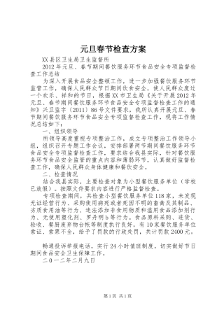 元旦春节检查实施方案 