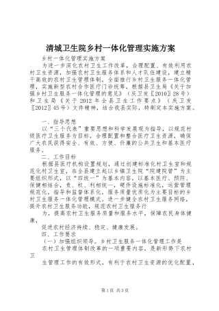 清城卫生院乡村一体化管理方案 