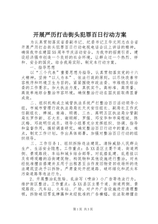 开展严历打击街头犯罪百日行动实施方案 