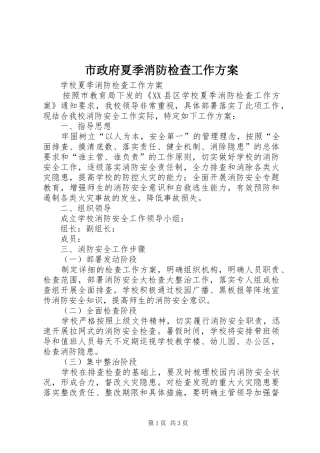 市政府夏季消防检查工作实施方案 