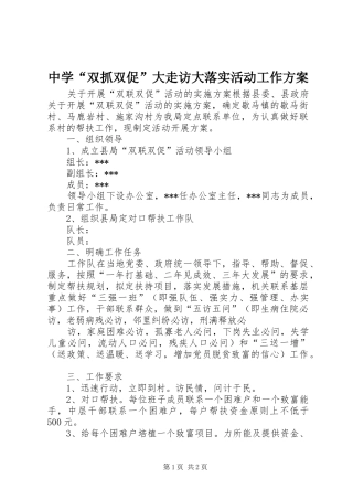 中学“双抓双促”大走访大落实活动工作实施方案 