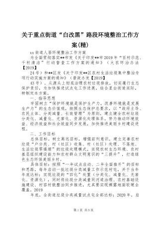 关于重点街道“白改黑”路段环境整治工作实施方案(精) 