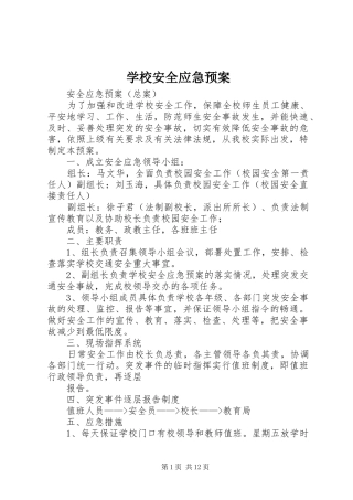 学校安全应急处置预案 (46)
