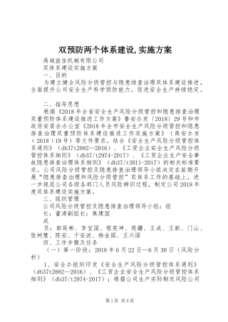 双预防两个体系建设,方案 