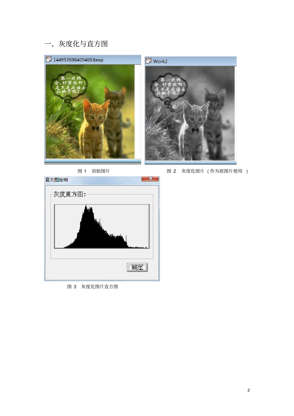 (完整版)图像处理实验_第2页