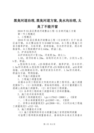 黑臭河道治理,黑臭河道实施方案,臭水沟治理,太臭了不能开窗 