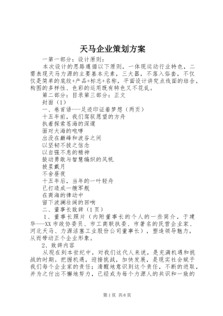 天马企业策划实施方案 