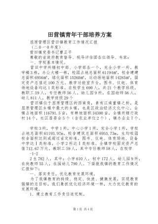 田营镇青年干部培养实施方案 