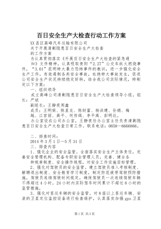 百日安全生产大检查行动工作实施方案 