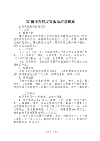 XX街道自然灾害救助应急处理预案 