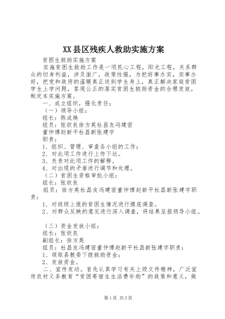 XX县区残疾人救助方案 