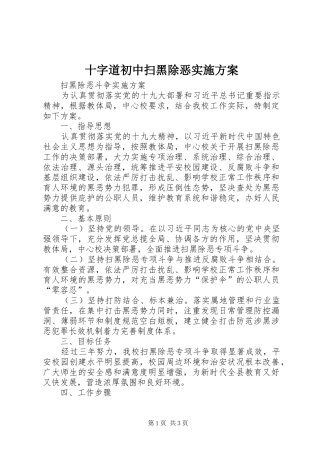 十字道初中扫黑除恶方案 