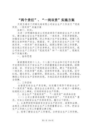 “两个责任”、“一岗双责”方案 