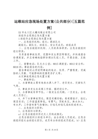 运维站应急现场处置实施方案(公共部分)[五篇范例] 