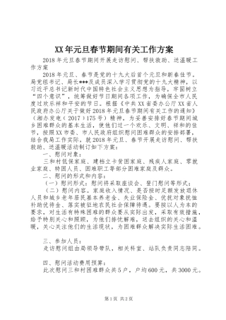 XX年元旦春节期间有关工作实施方案 