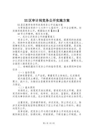 XX区审计局党务公开方案 