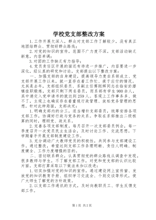 学校党支部整改实施方案 