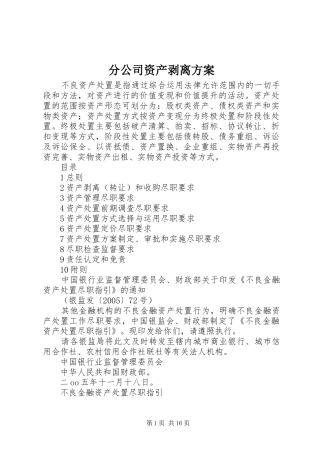 分公司资产剥离实施方案 