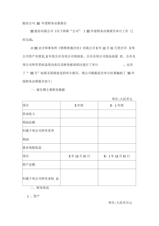 新三板公司年度财务决算报告模版