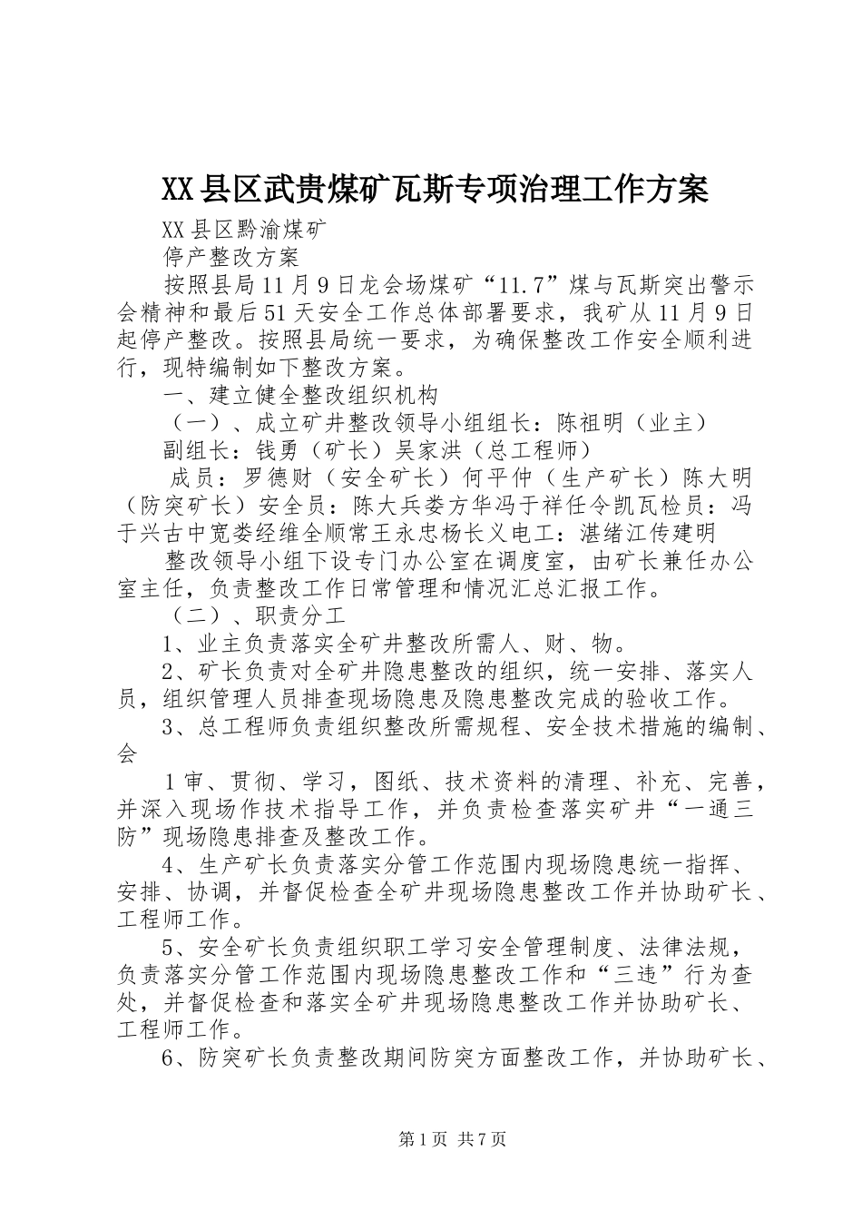 XX县区武贵煤矿瓦斯专项治理工作实施方案_第1页