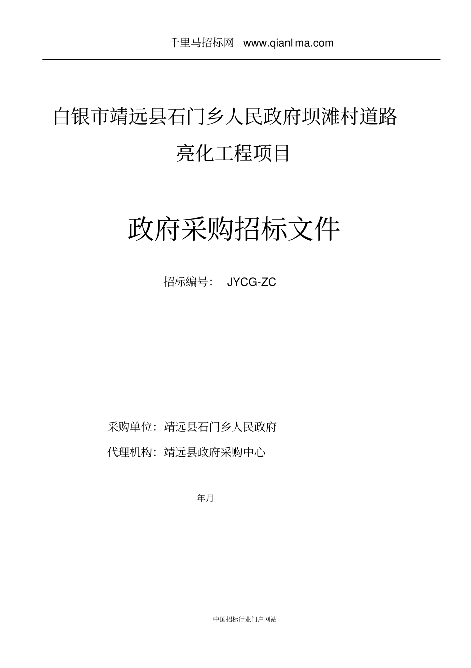 人民政府道路亮化工程项目招投标书范本_第1页