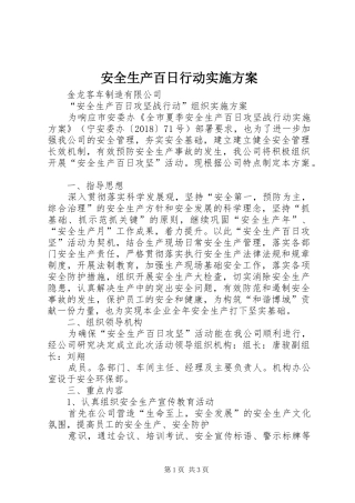 安全生产百日行动方案