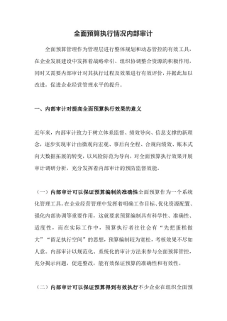 全面预算执行情况内部审计
