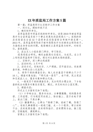 XX年质监局工作实施方案5篇