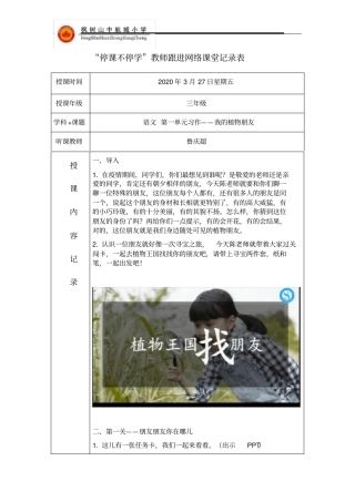 我的植物朋友课堂实录