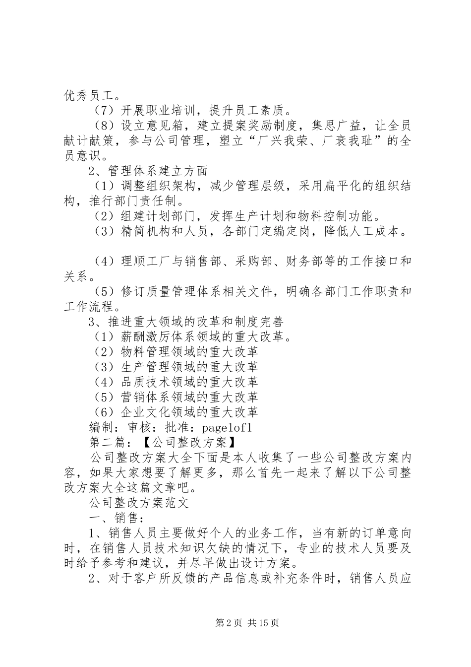 公司整改实施方案5篇_第2页