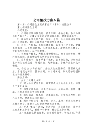 公司整改实施方案5篇