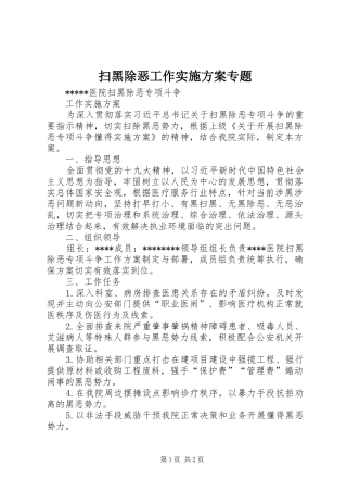 扫黑除恶工作方案专题
