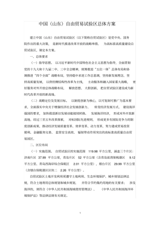 中国(山东)自由贸易试验区总体方案