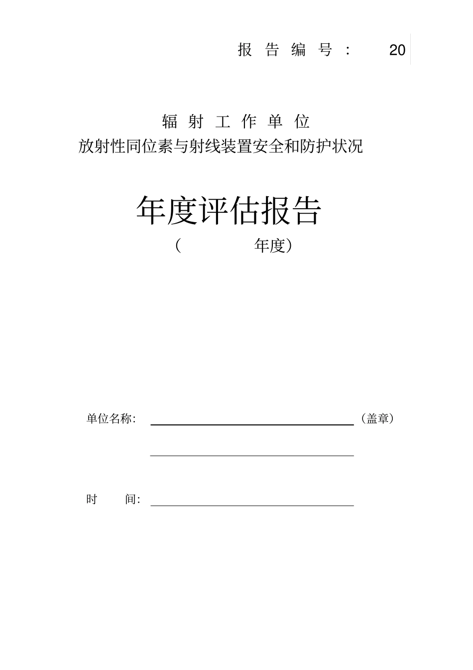 安全和防护状况年度评估报告_第2页